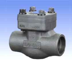 Forged steel and SS lift check valves with BW/SW