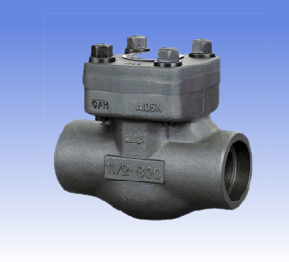 Forged steel and SS swing check valves with BW/SW
