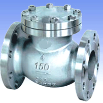 Carbon steel and SS swing check valves