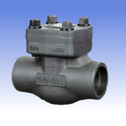 Forged steel and SS swing check valves with BW/SW