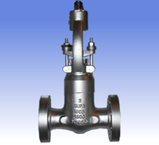 Carbon steel and SS gate valves