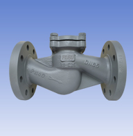 Carbon steel and SS lift check valves