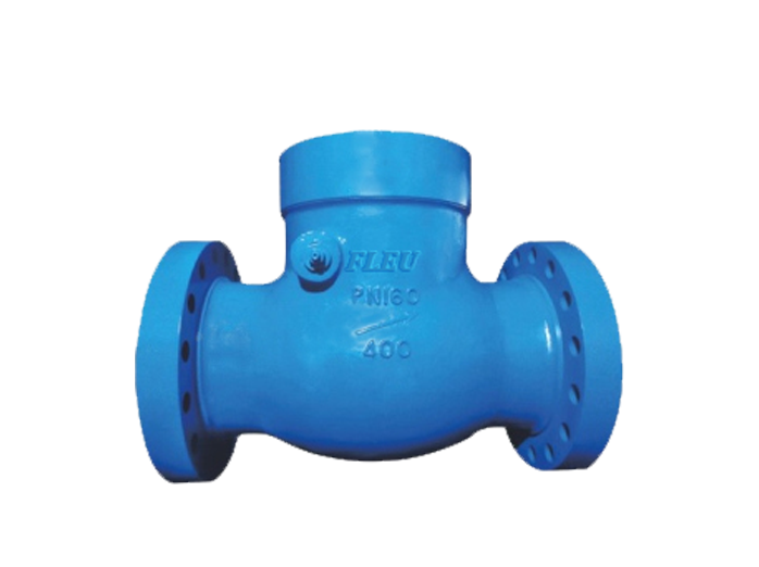 DIN Swing Check Valve Fig.452