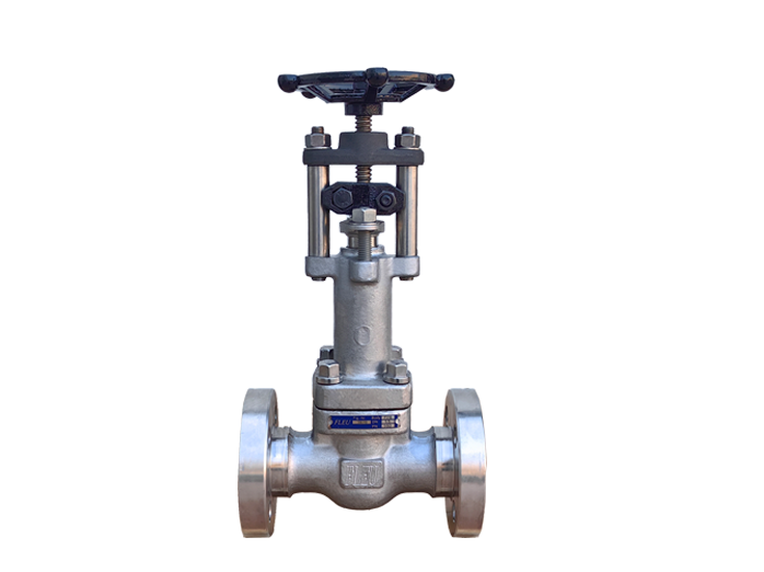 DIN Bellows Seal Globe Valve Fig.119