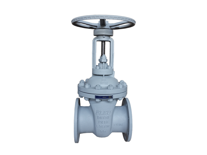 Gate Valve